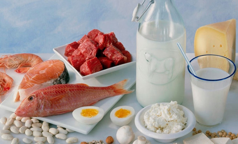 Что из себя представляет белковая пища: список полезных продуктов и варианты диет для похудения