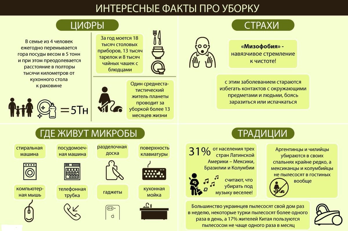 Наводим в доме чистоту обж 5 класс презентация